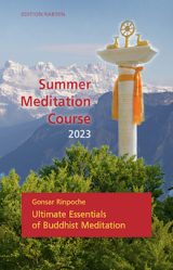 Ultimate Essentials of Buddhist Meditation
