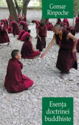 Esența doctrinei buddhiste