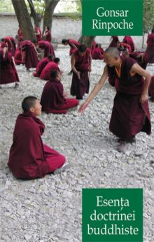 Esența doctrinei buddhiste